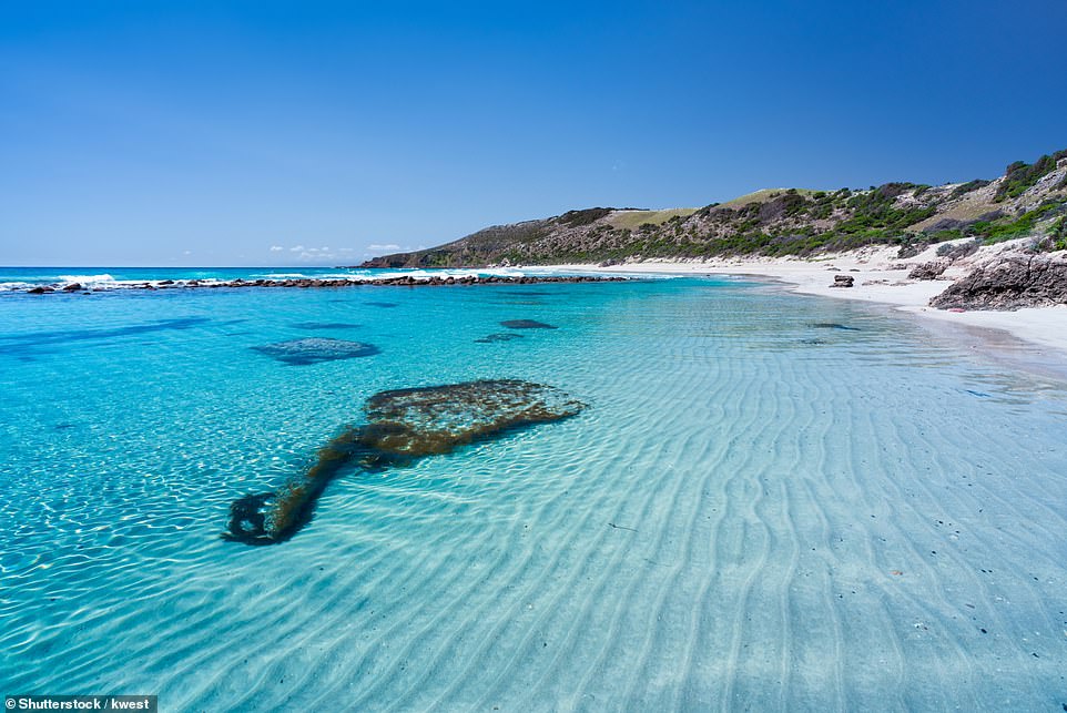STOKES BAY BEACH, KANGAROO ISLAND, SOUTH AUSTRALIA: This gem is known as ideal for wading and snorkelling and is extremely popular with Tripadvisor users. One described it as 'absolute heaven', another as the best beach they'd ever been to