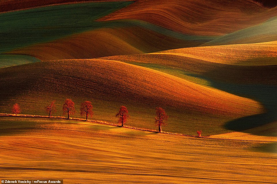 Countryside in the Czech Republic's South Moravian Region is smothered in reds, greens and browns in this autumnal shot by Zdenek Vosicky. It receives the silver award in the 'Landscapes' category for professional photographers