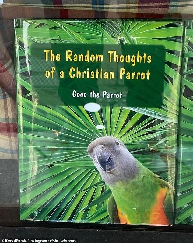 Preaching parrot! Coco, who looks to be a Senegal Parrot, looks excited to spread its message across