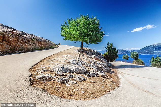 The roads in Kefalonia are often narrow and extremely twisty