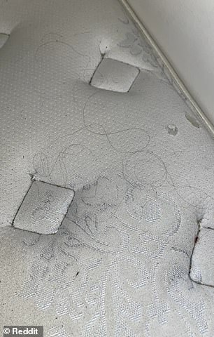 The Airbnb guest said 'every crevice of the mattress was full of dirt, crumbs, and hair'