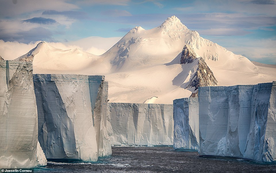 This striking shot by Cornou shows 100ft-high (30m) tabular icebergs in Antarctica that were 'once part of the Larsen Ice Shelf, an iceberg as large as a U.S state that [broke apart] due to climate change'. Recalling navigating through these icebergs by boat, he says: 'Those mesmerising structures were displaying subzero icy corridors, forming a highly photogenic gargantuan maze. The scene was magnificent, but also incredibly scary. I took my camera - I had to show the world the impact that global warming has had'