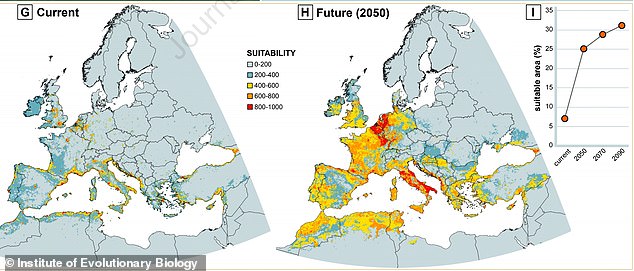 According to the model, seven per cent of the European continent is suitable for the species, with this figure set to grow thanks to climate change