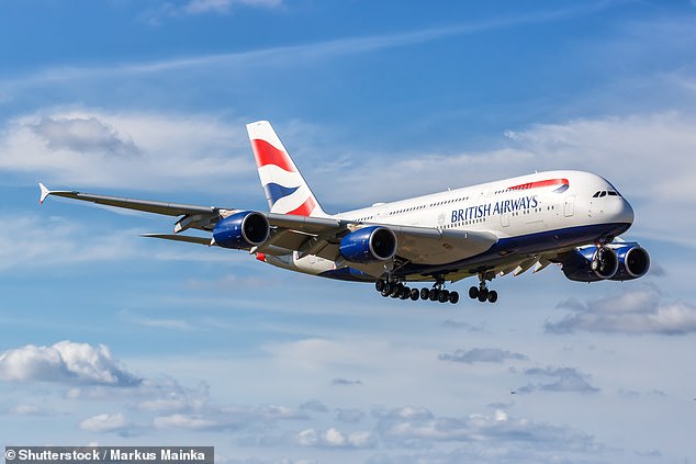 A British Airways passenger has spoken of her shock and horror after she and her family were 'removed' from a flight - because her son has a severe nut allergy and there was a meal with nuts on board the plane