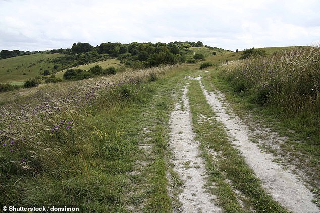 The Ridgeway (pictured) has been used for at least 5,000 years and passes through a remote part of southern England