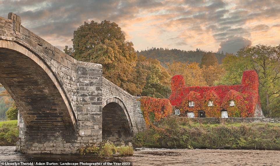 This autumnal shot of the 'Tu Hwnt I’r Bont Tearoom' along the River Conwy in Llanrwst, Wales, is commended in the 'Youth - Classic View' category. It's the work of young photographer Llewelyn Thorold