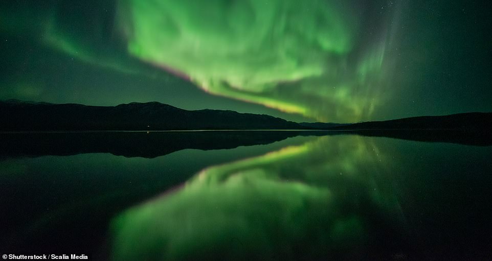 Alaska Tours offers a Northern Lights evening viewing tour from $140 per person