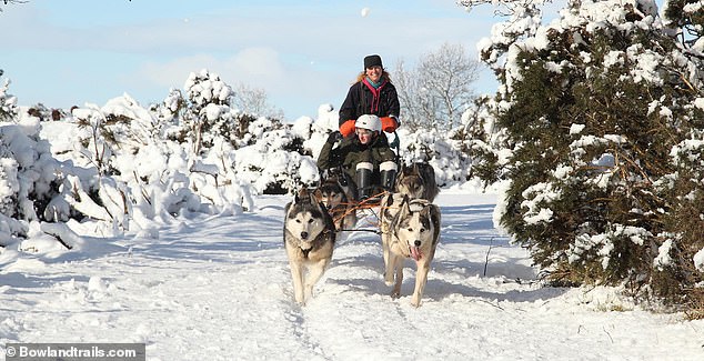 Britons don't need to venture north of the Arctic Circle to go husky-sledding. It's offered at Bowland Trails in Perthshire (above)