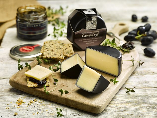 Get a taste for Christmas at Caws Cenarth Cheese Farm in Lancych, Wales. Pictured: Extra mature cheddar made at the farm