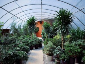copenhagen attractions