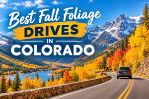 Best Fall Foliage Drives in Colorado (2026 Ultimate Guide)
