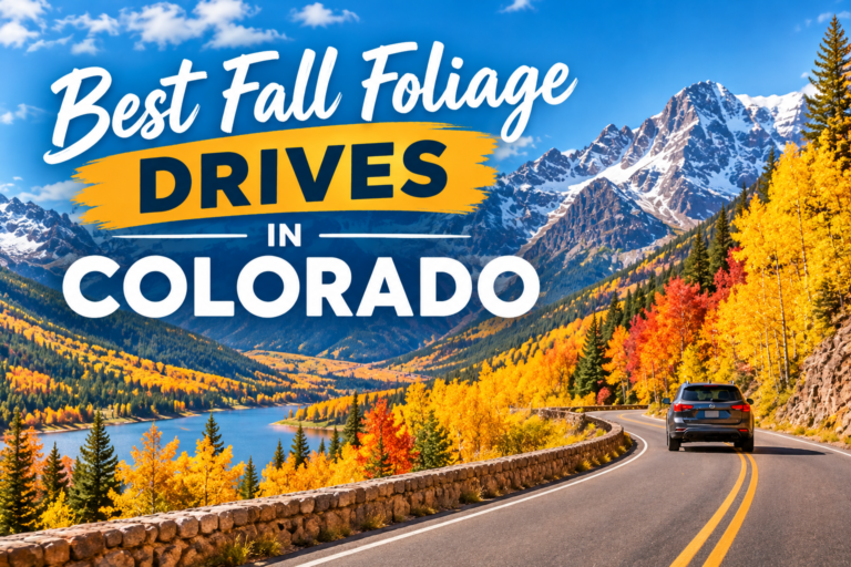 Best Fall Foliage Drives in Colorado (2026 Ultimate Guide)