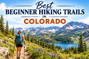 Best Beginner Hiking Trails in Colorado (2026 Ultimate Guide)